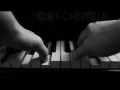 K1024_Bechstein